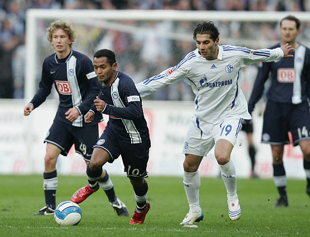 在分析吉拉 在分析吉拉